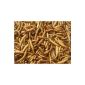 Dried mealworms 1.0 kg net (Misc.)