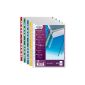 Elba 100206880 Pack of 100 A4 punched pockets polypropylene 9/100 Assorted colors (Office Supplies)