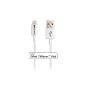 Cable Matters Apple MFi-Certified Lightning to USB Cable - White 1m (Wireless Phone Accessory)