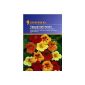 Kiepenkerl 910,128 nasturtium, Tropaeolum majus Rank End Mix (garden products)
