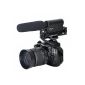Nine TAKSTAR® Micro Stereo Shotgun for Canon 5D Mark II, 7D, 550D, 600D Nikon Pentax Olympus Panasonic Sony DSLR camera DV (Electronics)