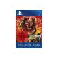 Hotline Miami 2: Wrong Number [Full Version] [PSN Code for German bank account] (Software Download)