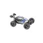 XciteRC 30600000 RC Auto Buggy Twenty4 B, 4WD Ready to Race Model Car, 1:24 2.4 GHz remote control, black / blue (toy)