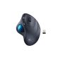 Logitech M570 Wireless Laser Mouse trackball with 5 Buttons Black (Eastern Europe version) (Personal Computers)