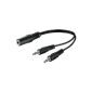Wentronic Audio / Video cable (2x 3.5mm mono plug to 3.5mm stereo connector) 0.2 m (accessories)