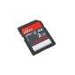 SanDisk Secure Digital (SD) Memory Card Ultra 2GB (Personal Computers)