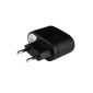 USB power supply 220V black 1000mAh charger