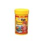 JBL food for carnivorous aquarium fish, tablets 100ml, NovoTab 30230 (Misc.)