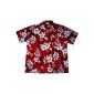 Hawaiian shirt / Hawaii Shirt 