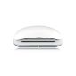 Mobee Technology MO2212 Magic Inductive Charging Station with Battery for Apple Mouse white / silver (Personal Computers)