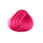 Directions Hair Dye CARNATION PINK (Personal Care)