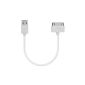 SDTEK White 20cm thick Forte 30 short lead wire pin USB Data Sync Cable for iPhone 4S 4 3GS, iPad 1 2 3, 1 2 3 iPod Touch 4, iPod Nano (Electronics)
