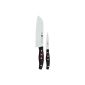 Zwilling 30764000 Twin Pollux set of knives, 2 pcs. (Household goods)