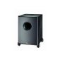 Tips subwoofer at a moderate price