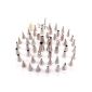52er steel Nozzles decorator for cakes cakes deco Tortendeko with storage box flowers nails clutch professional set (household goods)