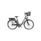 Fischer E-Bike City Proline, anthracite, frame height: 46 cm, tire size: 28 inches (71 cm), 18007 (Equipment)