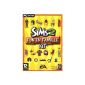 The Sims 2: Family Fun (Expansion Pack) (computer game)