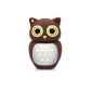 818-TEch No11400010064 Hi-Speed ​​USB 2.0 64GB owl bird brown eagle owl 3D (Electronics)