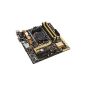 Asus A88XM-Plus Motherboard Socket FM2 AMD Micro ATX + (Personal Computers)