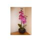 UK-Great Gardens pink orchid Potted Plant 46cm high with silk flowers in a pot / a round black ceramic planter - Interior or Home Office
