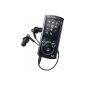 Sony Walkman NWZ-E463B Video Walkman (4GB, USB, microphone) (Electronics)