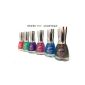 SET OF 6 Holographic Nail - Blue, Red, Purple, Pink, Green, Multi - 15 ml (Miscellaneous)