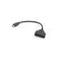 1 HDMI Male to Dual HDMI Female Y cable 2 HD LED LCD Plasma TV Adapter (Electronics)