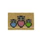 Entrance mat robust 100% natural fiber Coco Owl drawing, 40 x 60 cm (Kitchen)