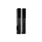 Beng LB-4707 - Pair of column loudspeakers Hifi Home Cinema 2 x 480Watts (16.5cm Subwoofer, 4-way, bass-reflex) - Elegant design noble black wood stylish shapes (Electronics)