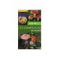 Green Guide DO mushrooms (Paperback)