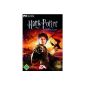 Harry Potter and the Goblet of Fire (DVD-ROM) (computer game)