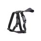 infactory dog ​​harness for the safe drive, size XL, 56-89 cm (Misc.)