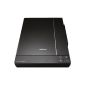 Epson Perfection V33 Scanner (4800dpi, USB, Scan to PDF) (Personal Computers)