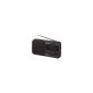 Sony Portable Radio ICF390BLK Black (Electronics)