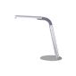 Trio lights LED Table Lamp titanium color, with flexible joint, including 1x3W LED 3100K 300 Lumen 524 510 187 (household goods)