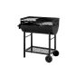 Tepro Barbecue Detroit, Black (garden products)