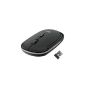 Trust SlimLine Optical Wireless Mouse Black (Personal Computers)