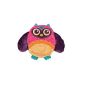 Oops 10005.12 Wonderfully soft toy and blanket / Dou Nap Friend - Owl (Toys)