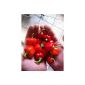 10 seeds Minibell red peppers - high yield, short maturity