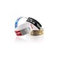 line two, 100-pack Secure bands Tyvek 19mm VIP, various colors selectable (Misc.)