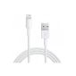 Apple MD818ZM / A Lightning to USB cable (1 m) white (accessory)