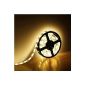 THE Lampux 12V Flexible LED Strip Light, Warm white, 5050 SMD LEDs, waterproof, ideal for DIY, pack of 5 m (Kitchen)