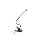 Racksoy Stylish Mini Stitch Touch On-Off / 10 Dimmable LED USB Laptop Light Reading lights Clamp light desk lamp with flexible gooseneck and clamp holder USB port (Black)