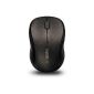 Rapoo Mid Level 3 Key cordless mouse gray (Personal Computers)