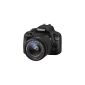 Canon EOS 100D SLR Digital Camera Kit 18.4 Mpix Body + EF-S 18-55mm IS STM f / 3.5-5.6 Black (Electronics)