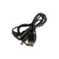 USB Cable Charger for Nintendo DSL DS Lite / DSi / 3DS (Electronics)