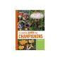 The new guide fungi (Paperback)