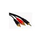 World of Data® 3m 3.5mm jack to 2 x RCA cable - Premium Quality - 24k Gold Plated - Audio - Stereo - Male to Male - 3.0 m (Electronics)