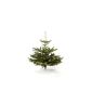 Real Christmas tree Nordmann fir, H approximately 105-120 cm, Premium Quality (garden products)