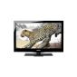 Medion Life P14075 59.9 cm (23.6 inch) TV (Full HD, Triple Tuner) (Electronics)